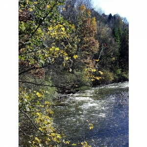 Herbst am Fluss - 0083