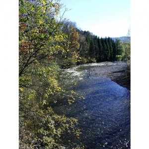 Herbst am Fluss - 0084
