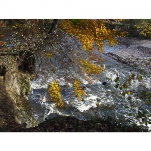 Herbst am Fluss - 0085