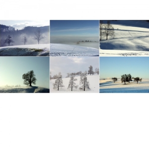 Winterlandschaften - 0001W