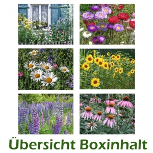 Sechser-Box: Blumen - 0001L-S