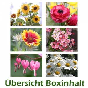 Sechser-Box: Blumen - 0001M-S
