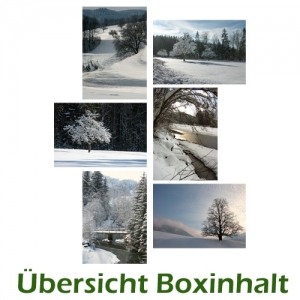 Sechser-Box: Winterlandschaften - 0003G-S