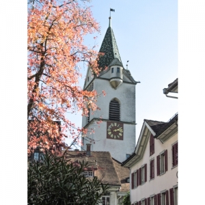 Wil SG - St. Niklaus-Kirche - 2767