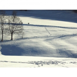 Spuren im Schnee - 0555