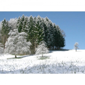 Winterlandschaft - 0590