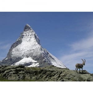 Matterhorn - 1602