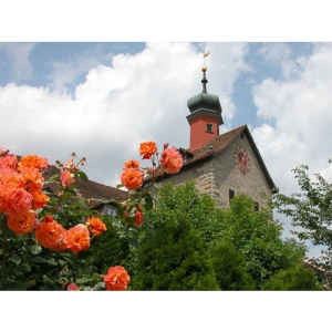 Rosenstadt Bischofszell - Bogenturm - 1765