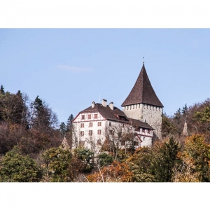 Weinfelden - Schloss - 2961