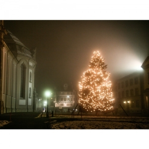 St. Gallen - Weihnachtsbaum auf dem Klosterplatz - 1837