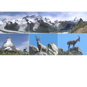 Gletscherlandschaft und Matterhorn VS - 0001V
