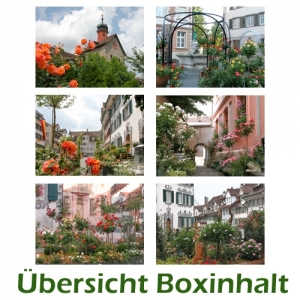 Sechser-Box: Rosenstadt Bischofszell - 0007F-S