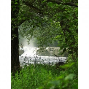 Wasserfall bei Henau - 0489
