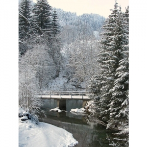 Flussbrücke im Schnee - 0566